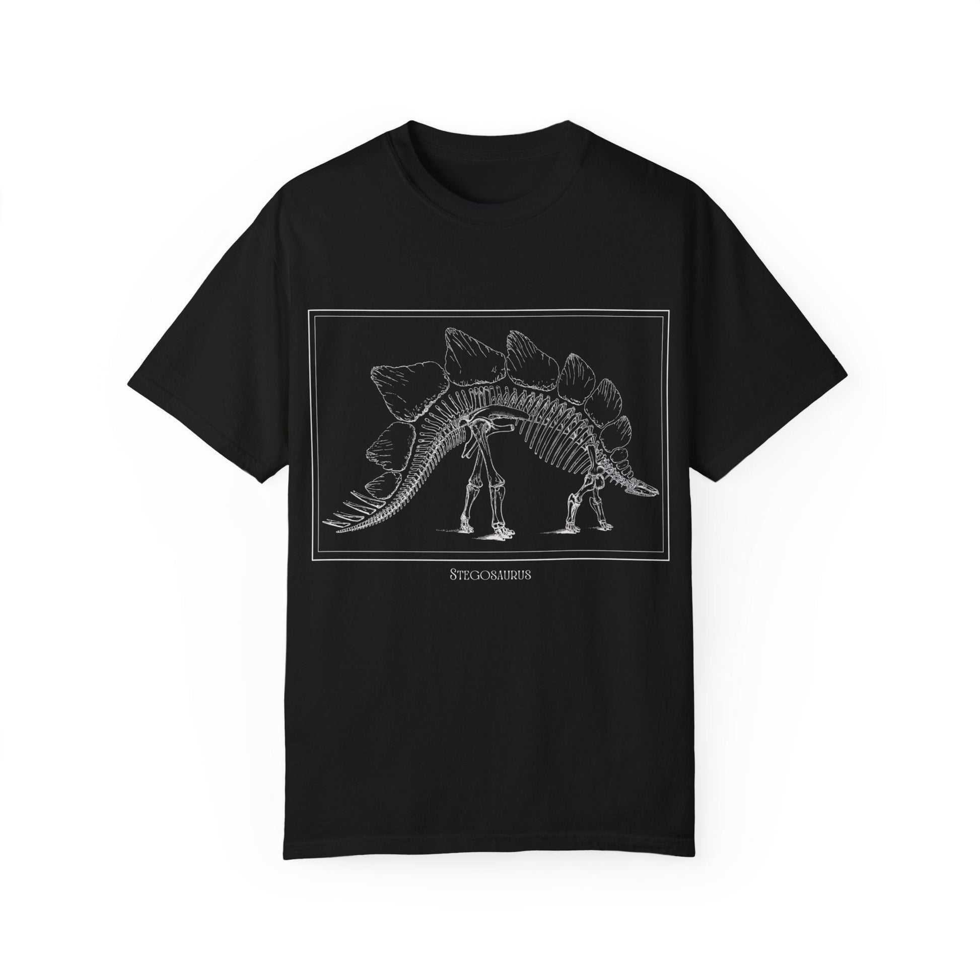 Stegosaurus Vintage Line Art T - shirt - RainyDayReader