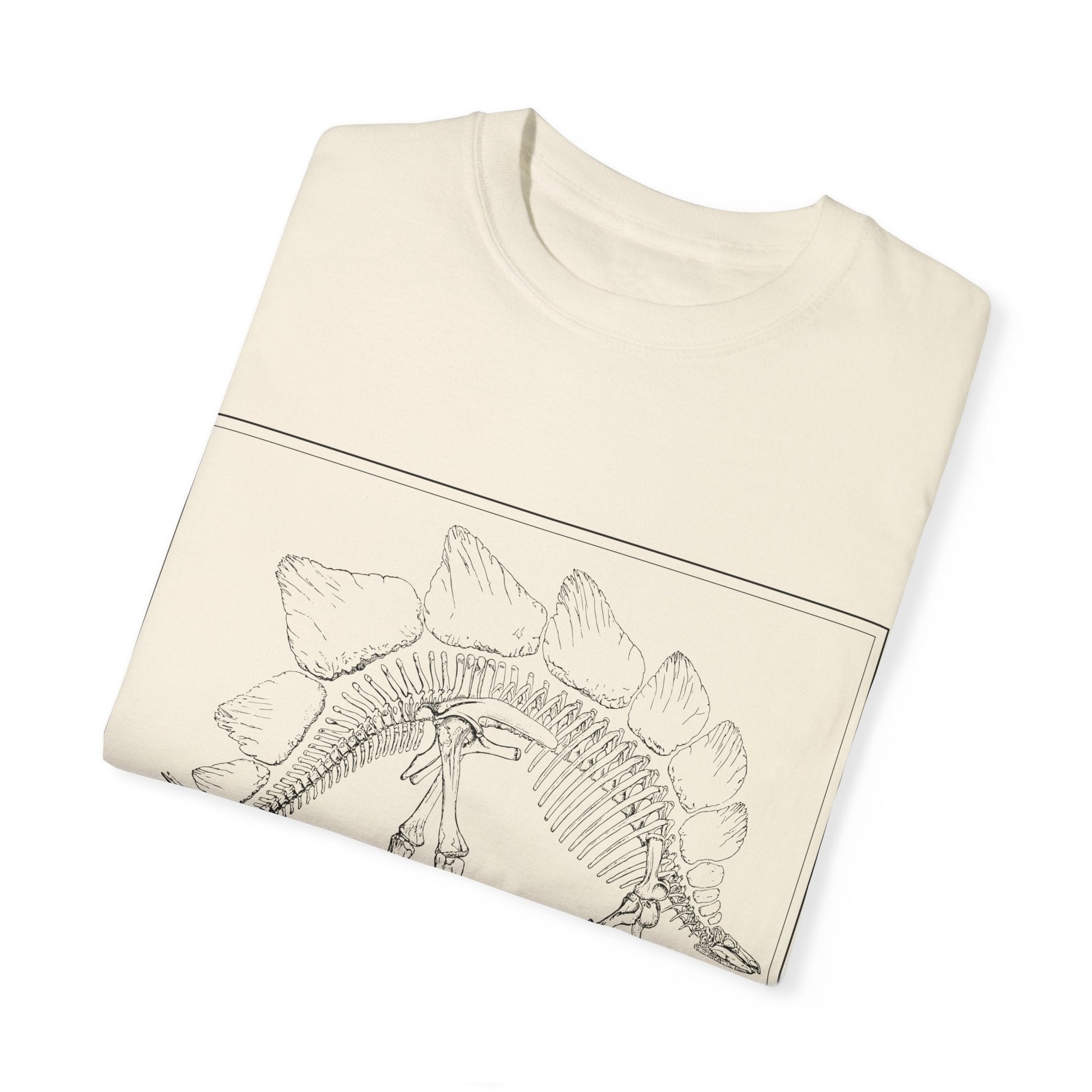 Stegosaurus Vintage Line Art T - shirt - RainyDayReader